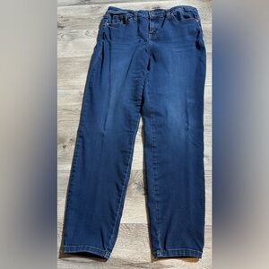 Style & Co-Women's Size 12-Stretch Denim- Skinny Jeans